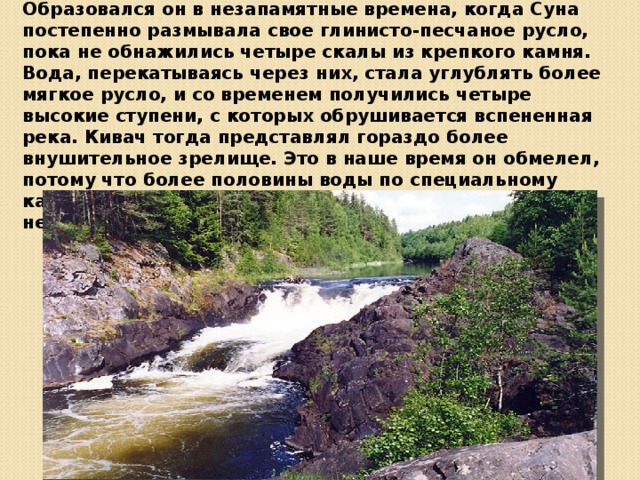 Особенно врезалась в память Державину первая остановка на пути – водопад Кивач на реке Суне. Образовался он в незапамятные времена, когда Суна постепенно размывала свое глинисто-песчаное русло, пока не обнажились четыре скалы из крепкого камня. Вода, перекатываясь через них, стала углублять более мягкое русло, и со временем получились четыре высокие ступени, с которых обрушивается вспененная река. Кивач тогда представлял гораздо более внушительное зрелище. Это в наше время он обмелел, потому что более половины воды по специальному каналу уходит для гидроэлектростанции, построенной неподалёку.  