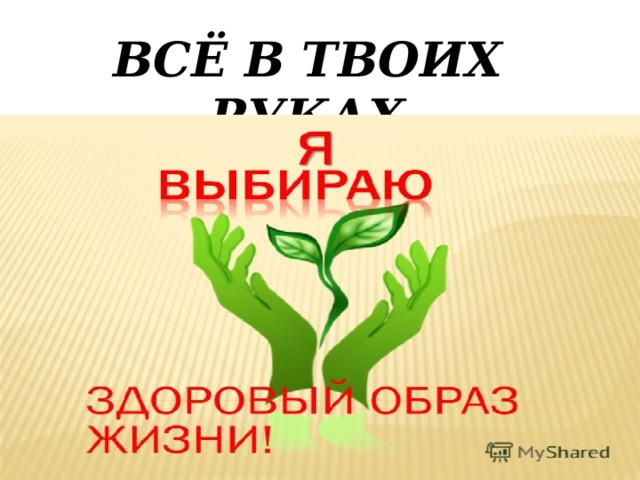 Заключение проект по экологии