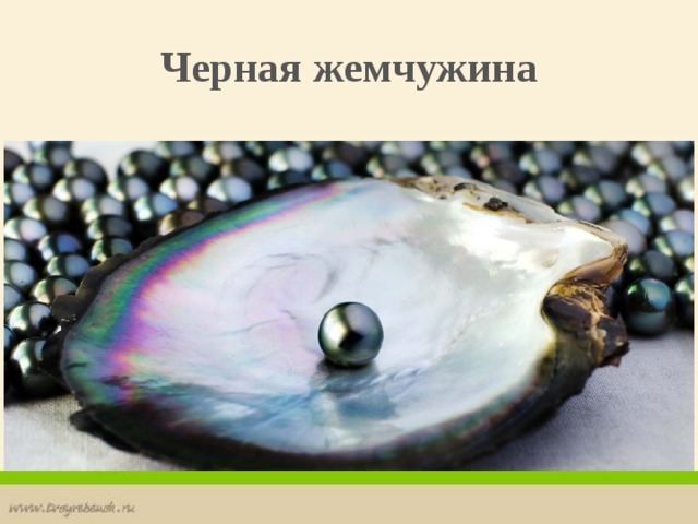 Черная жемчужина 