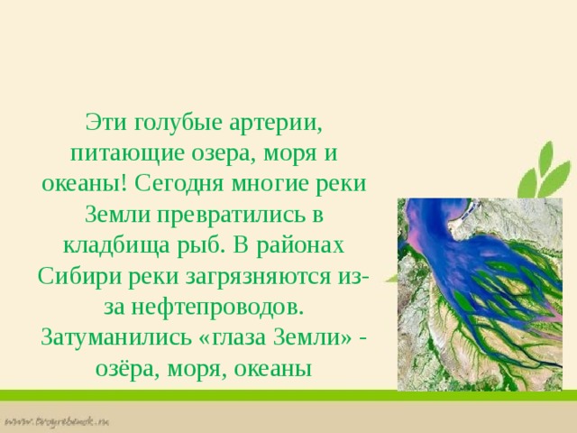 Эти голубые артерии, питающие озера, моря и океаны! Сегодня многие реки Земли превратились в кладбища рыб. В районах Сибири реки загрязняются из-за нефтепроводов. Затуманились «глаза Земли» - озёра, моря, океаны 
