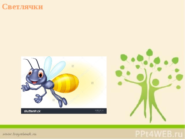 Светлячки 