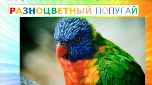 Р А З Н О ЦВ ЕТН ЫЙ  П О П У ГА Й 