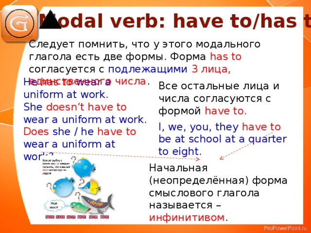 Конструкция has to. To have to модальный глагол. Have to модальный глагол правило. Модальный глагол have to has to. Модальный глагол have to правила.