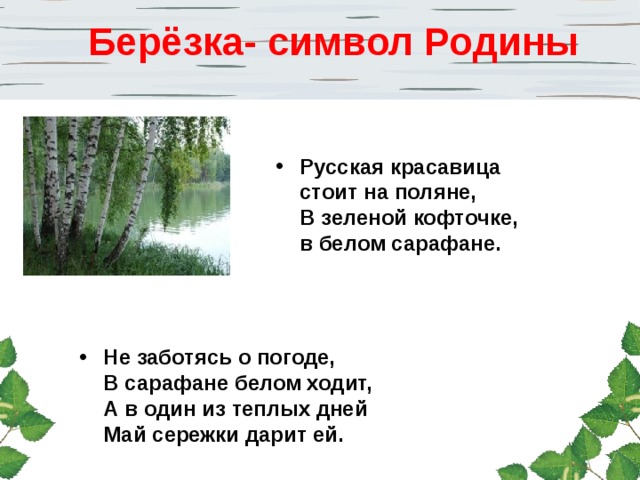 Берёзка- символ Родины Русская красавица  стоит на поляне,  В зеленой кофточке,  в белом сарафане. Не заботясь о погоде,  В сарафане белом ходит,  А в один из теплых дней  Май сережки дарит ей. 