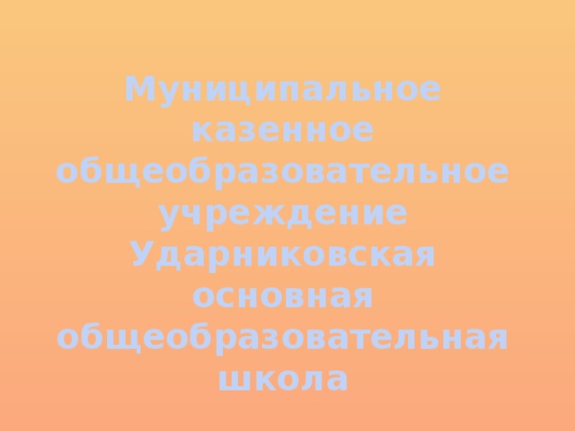 Муниципальное казенное общеобразовательное учреждение  Ударниковская основная общеобразовательная школа 