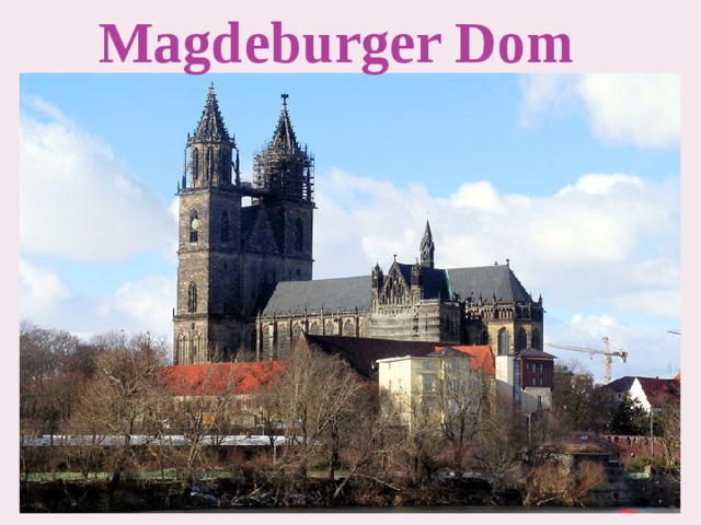 Magdeburger Dom 