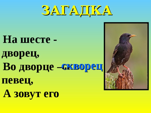 ЗАГАДКА На шесте - дворец, Во дворце – певец, А зовут его скворец ... 