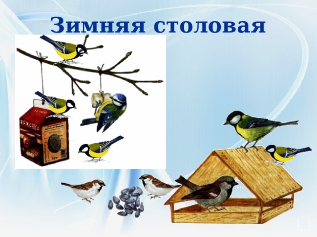 Зимняя столовая 
