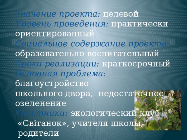 Значение проекта: целевой Уровень проведения: практически ориентированный Социальное содержание проекта: образовательно-воспитательный Сроки реализации: краткосрочный Основная проблема: благоустройство школьного двора, недостаточное озеленение Участники: экологический клуб  «Світанок», учителя школы,  родители                       