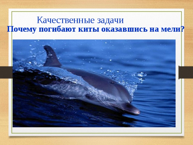 Качественные задачи  Почему погибают киты оказавшись на мели? 