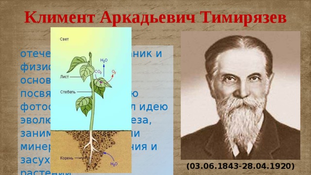 Тимирязев фотосинтез