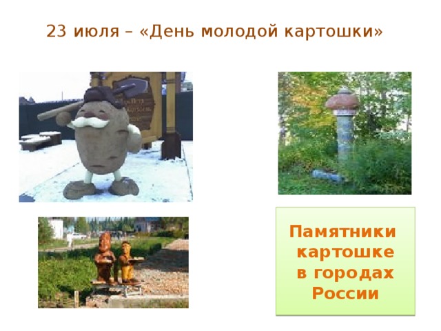23 июля – «День молодой картошки» Памятники картошке в городах России 