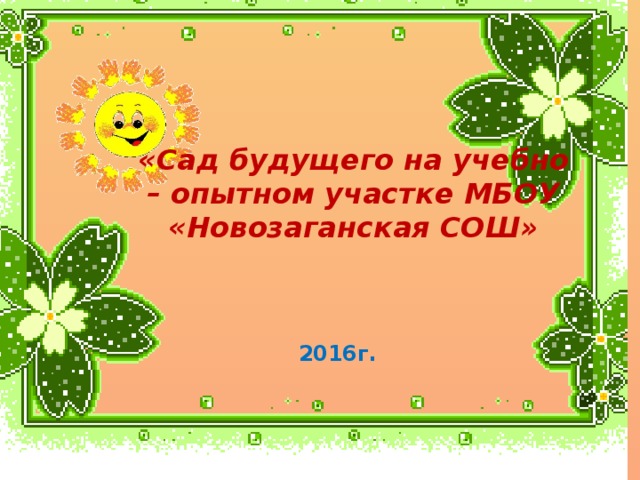   «Сад будущего на учебно – опытном участке МБОУ «Новозаганская СОШ»    2016г. 