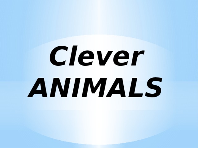 Spotlight 3 clever animals презентация