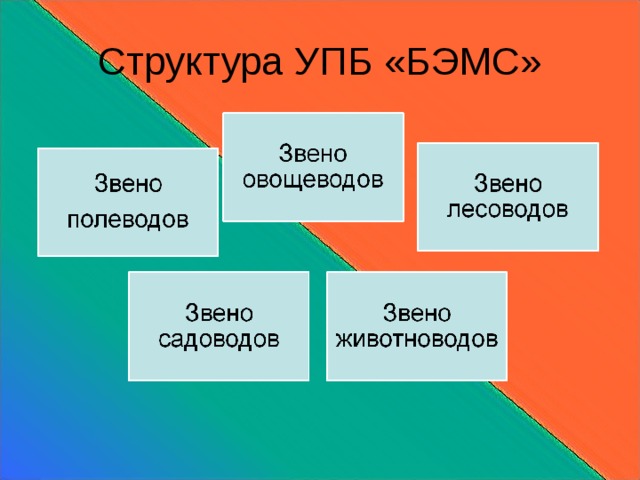 Структура УПБ «БЭМС» 