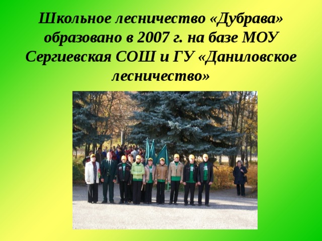 Школьное лесничество «Дубрава» образовано в 2007 г. на базе МОУ Сергиевская СОШ и ГУ «Даниловское лесничество» 