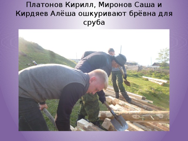 Платонов Кирилл, Миронов Саша и Кирдяев Алёша ошкуривают брёвна для сруба   
