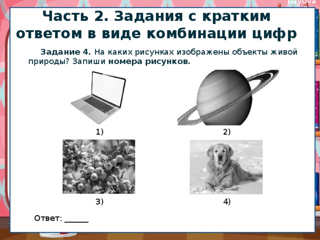 Укажите номер рисунка на котором изображен объект содержащий индивидуальное химическое вещество впр