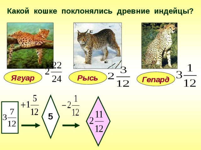 Какой кошке поклонялись древние индейцы? Рысь Ягуар Гепард 5 11 