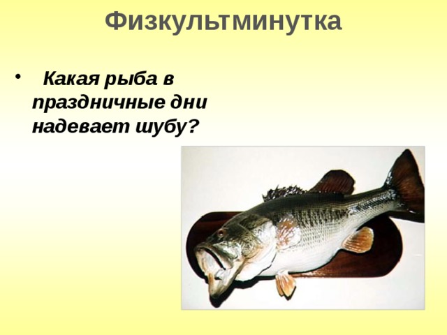 Физкультминутка  Какая рыба в праздничные дни надевает шубу? 