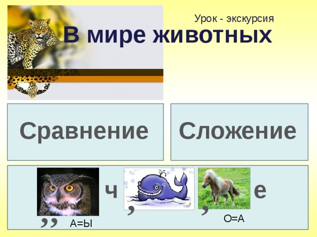 Урок - экскурсия В мире животных Сложение Сравнение ч е , , , , О=А А=Ы 