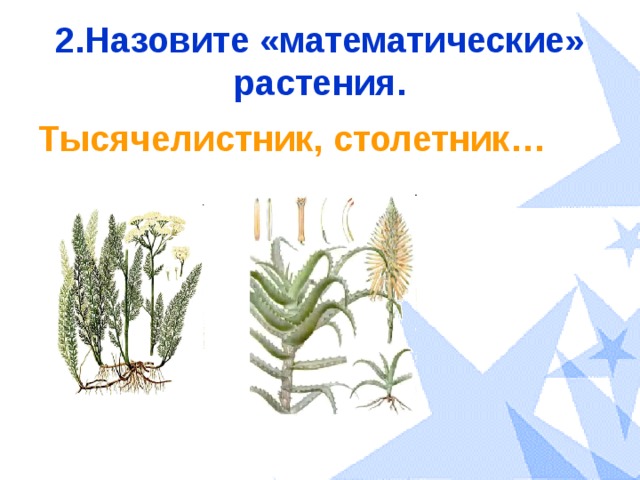 2.Назовите «математические» растения. Тысячелистник, столетник… 