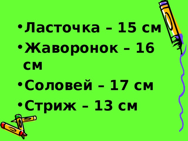 Ласточка – 15 см Жаворонок – 16 см Соловей – 17 см Стриж – 13 см