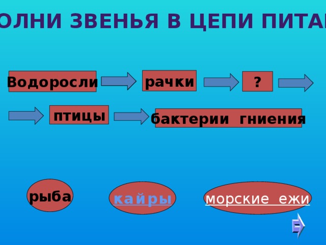 цепь питания в чёрном море