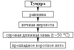 Технологическая карта тундра