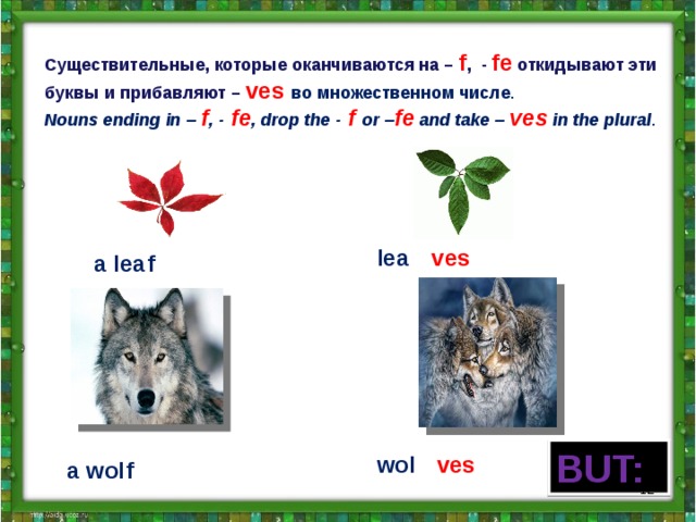 Слова оканчивающиеся на я существительные