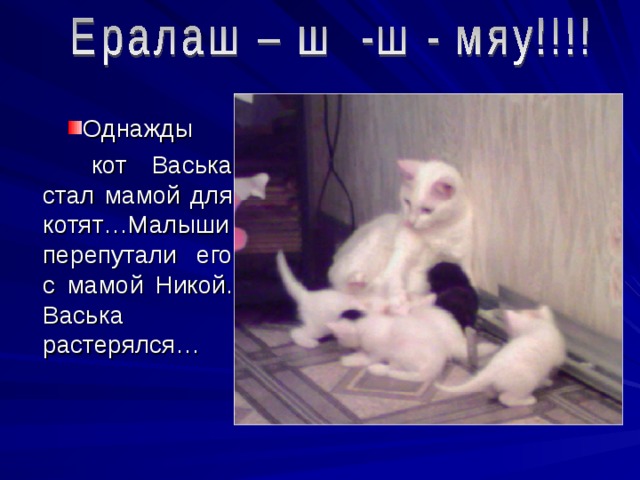 Однажды  кот Васька стал мамой для котят…Малыши перепутали его с мамой Никой. Васька растерялся… 