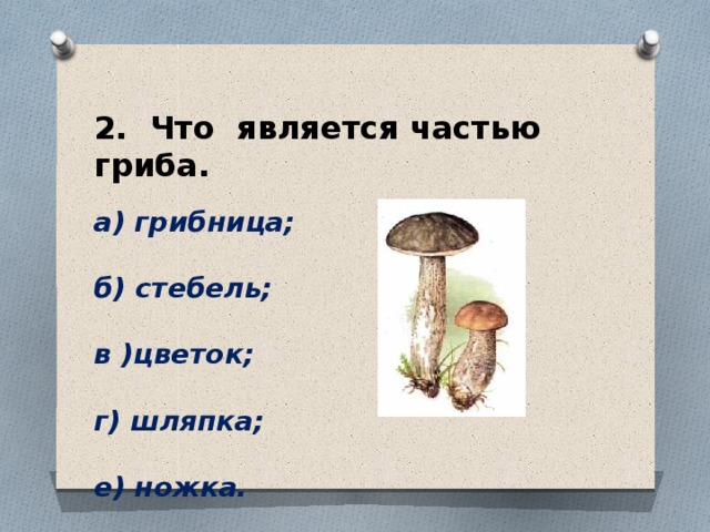 2. Что является частью гриба.   а) грибница;  б) стебель;  в )цветок;  г) шляпка;  е) ножка. 