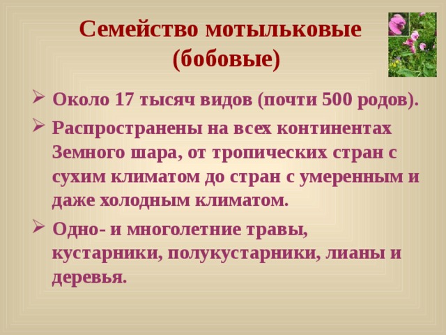 Семейство мотыльковые  (бобовые) Около 17 тысяч видов (почти 500 родов). Распространены на всех континентах Земного шара, от тропических стран с сухим климатом до стран с умеренным и даже холодным климатом. Одно- и многолетние травы, кустарники, полукустарники, лианы и деревья. 