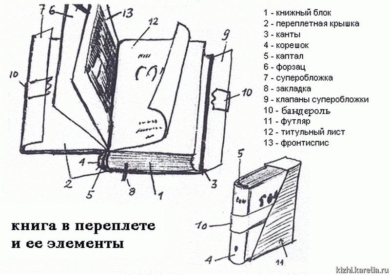 Футляр с чертежами студента 5 букв