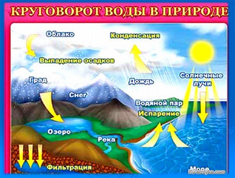 Предварительный просмотр