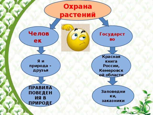 Охрана растений 3 класс окружающий