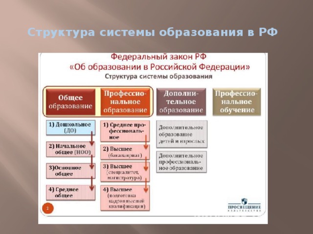 Структура системы образования в РФ   