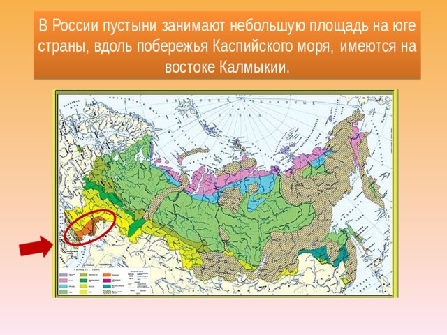 В России пустыни занимают небольшую площадь на юге страны, вдоль побережья Каспийского моря,  имеются на востоке Калмыкии.