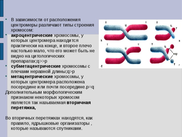 Схема строения хрома