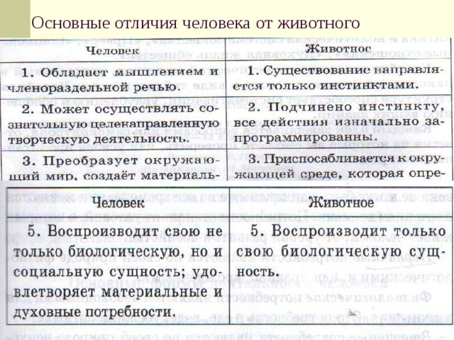 Отличие народов. Отличие человека от животного Обществознание таблица. Основные различия человека и животных. Признаки отличия человека от животного. Черты различия человека от животных.