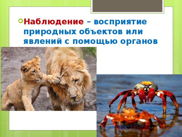 Восприятие природных объектов с помощью органов. Восприятие природных объектов или явлений. Восприятие природных объектов с помощью органов чувств называется. Наблюдение восприятие природных объектов с помощью. Восприять природных объектов или явлений с помощью органов чувств.