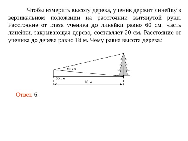Чтобы измерить высоту дерева, ученик держит линейку в вертикальном положении на расстоянии вытянутой руки. Расстояние от глаза ученика до линейки равно 60 см. Часть линейки, закрывающая дерево, составляет 20 см. Расстояние от ученика до дерева равно 18 м. Чему равна высота дерева? Ответ. 