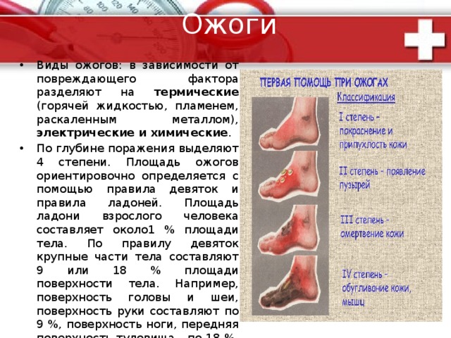 Помощь при обмороке:  Если есть возможность, уложите больного на спину , приподняв его ноги. Если положить больного невозможно (на улице, в транспорте), усадите его и попросите опустить голову ниже колен или до уровня колен. Все стесняющие части одежды надо расстегнуть и обеспечить приток свежего воздуха . Разотрите или опрыскайте холодной водой кожу лица, шеи. Поднесите к носу больного ватку с нашатырным спиртом, потрите ей виски. Часто бывает так, что после обморока человек смущается вниманием большого количества людей и отказывается от дальнейшей помощи. Вам следует настоять на том, чтобы больной не остался без сопровождения в ближайшее время, потому что обморок может повториться. 