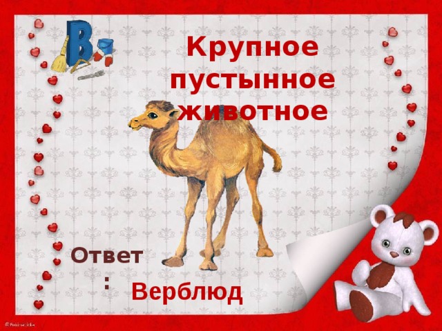 Вопрос ответ животные