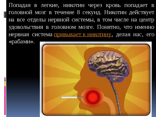 Мозги попал. Никотин попадает в мозг. Кровь не поступает в мозг. Кровь поступает в мозг.