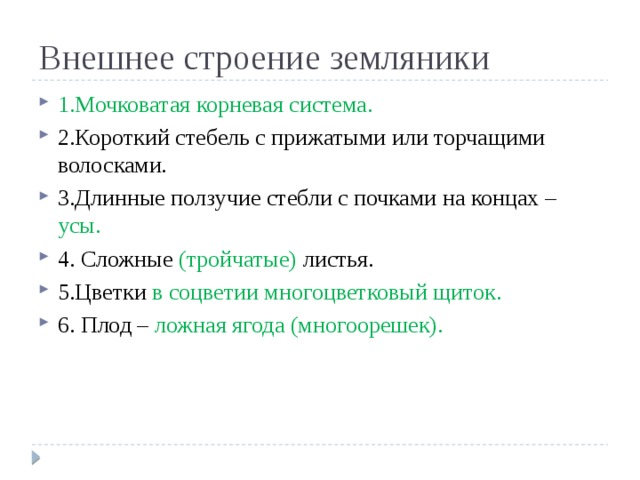 Внешнее строение земляники 1.Мочковатая корневая система. 2.Короткий стебель с прижатыми или торчащими волосками. 3.Длинные ползучие стебли с почками на концах – усы. 4. Сложные (тройчатые) листья. 5.Цветки в соцветии многоцветковый щиток. 6. Плод – ложная ягода (многоорешек). 