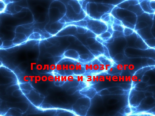 Головной мозг, его строение и значение. 