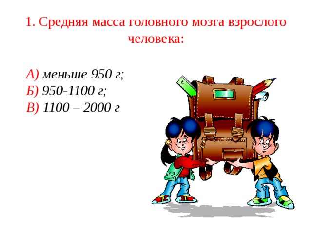 1. Средняя масса головного мозга взрослого человека:  А) меньше 950 г;  Б) 950-1100 г;  В) 1100 – 2000 г 