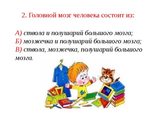 2. Головной мозг человека состоит из:  А) ствола и полушарий большого мозга;  Б) мозжечка и полушарий большого мозга;  В) ствола, мозжечка, полушарий большого мозга. 