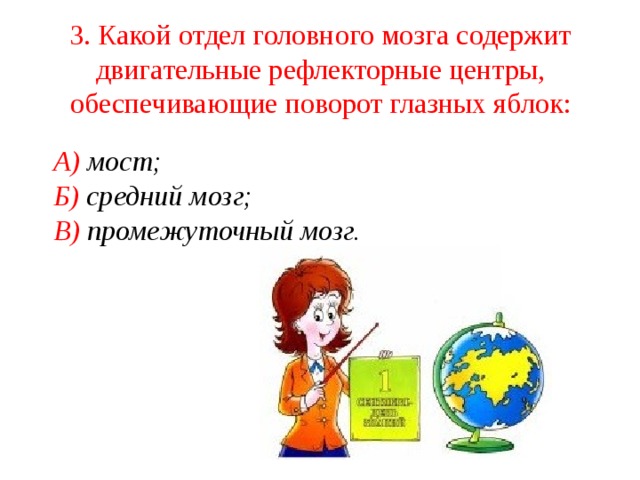 3. Какой отдел головного мозга содержит двигательные рефлекторные центры, обеспечивающие поворот глазных яблок:  А) мост;  Б) средний мозг;  В) промежуточный мозг.  